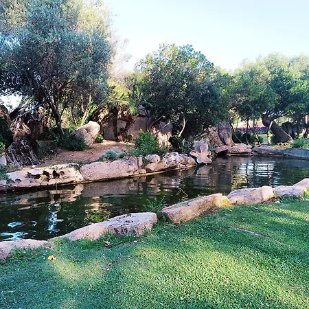 Appartement Incantevole La Coccola Olbia